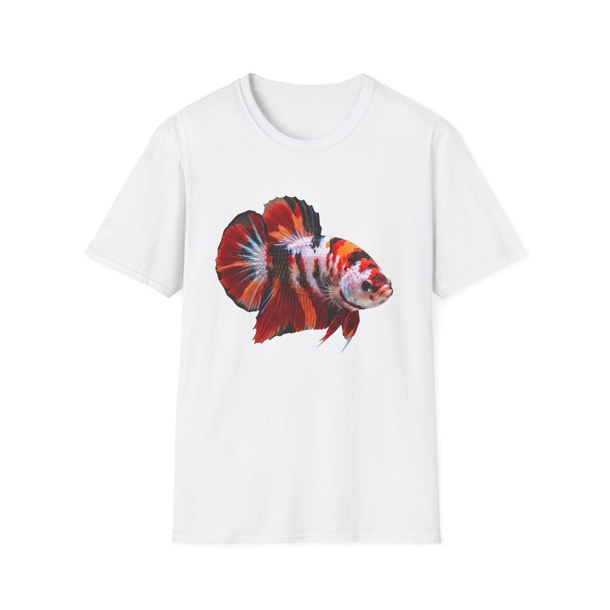koi Beta Fish